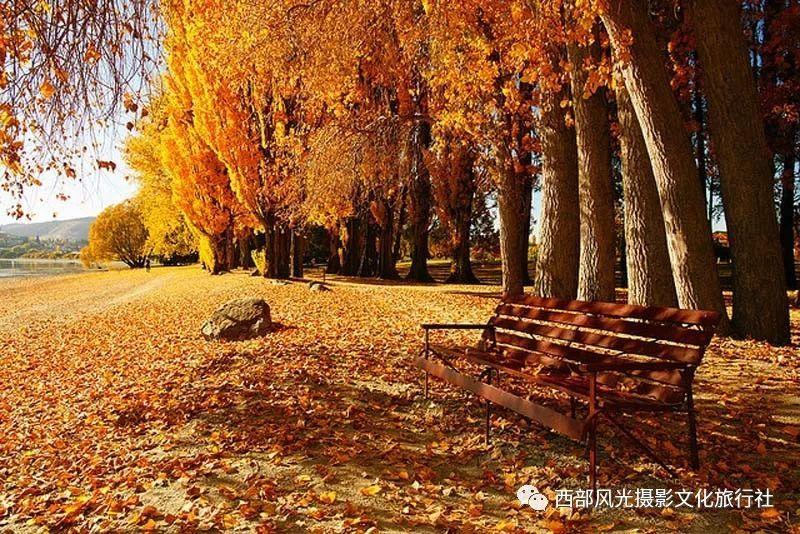蛇吃金钥匙