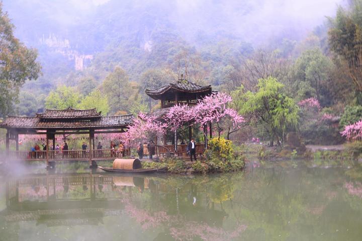 杜甫的诗《江梅》咏梅怀乡 抒发了自己的思乡怀亲之情