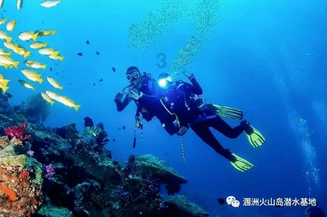 大厨教你“银耳汤”正确做法，粘稠好喝停不下来，超简单！游戏画面