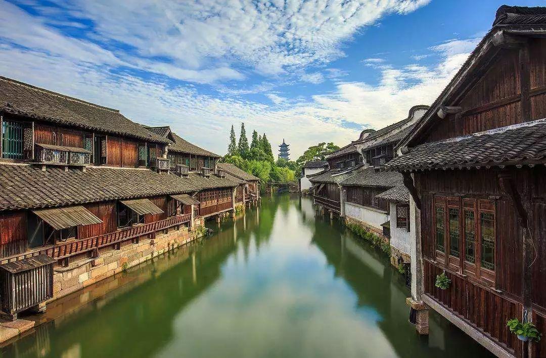 网游之大神莫挡路